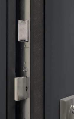 zoom sur les penes centraux d'une porte d'entrée